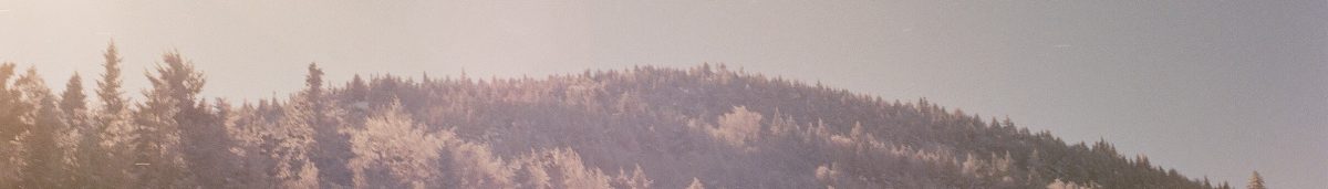 Film Photography in the North East